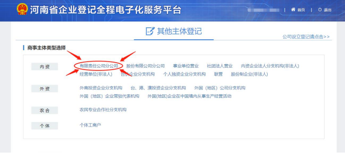 中原區網(wǎng)上注冊分公司流程選擇有限責任分公司注冊