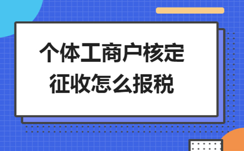 海南核定征收個(gè)稅稅率表辦理流程